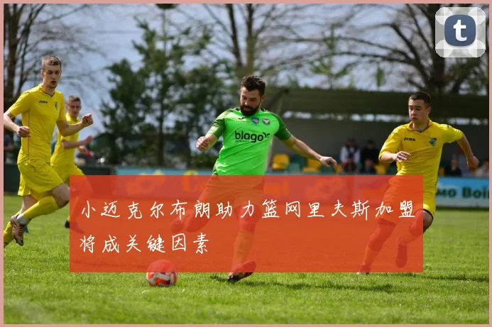 小迈克尔布朗助力篮网里夫斯加盟将成关键因素